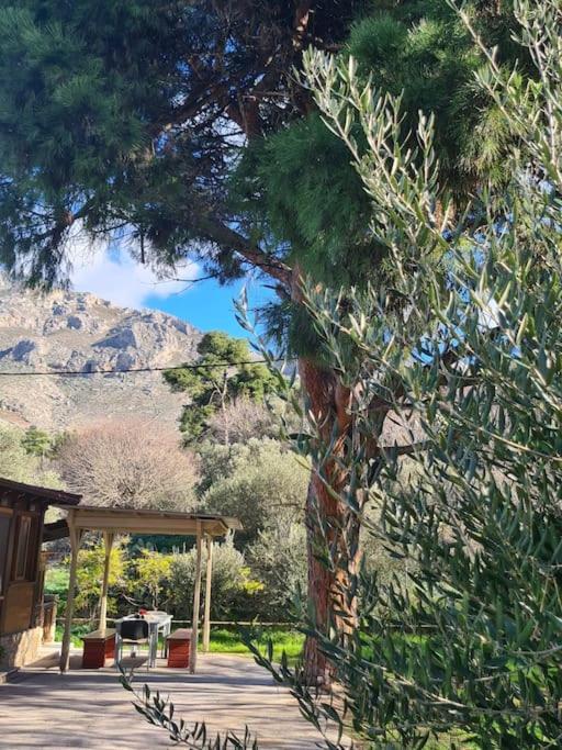 Annas Cozy Cottage Kalymnos Panormos  Eksteriør billede