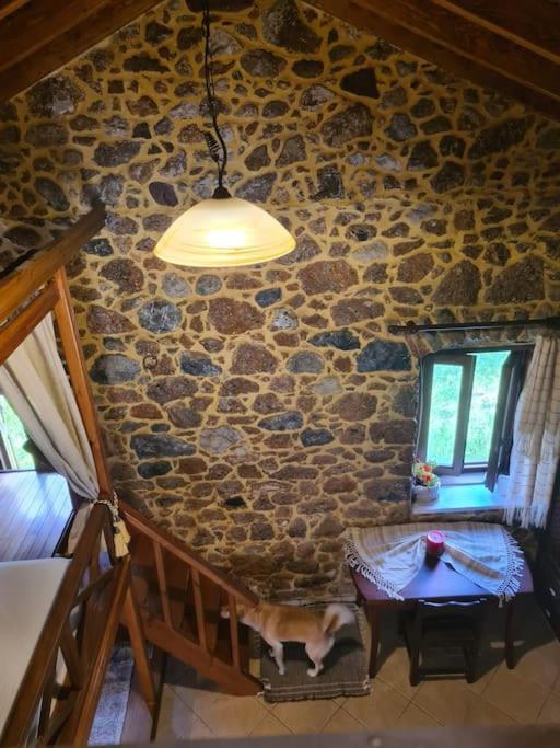 Annas Cozy Cottage Kalymnos Panormos  Eksteriør billede