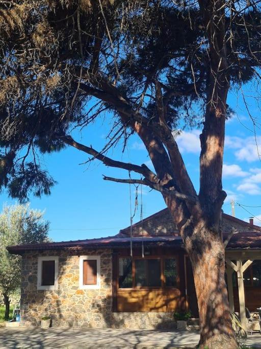 Annas Cozy Cottage Kalymnos Panormos  Eksteriør billede